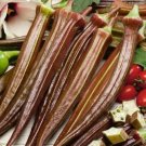 GG88 10 Red Burgundy Okra Seeds Non Gmo Heirloom Fresh USA Warehouse