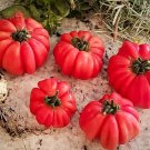 GG88 20 Mushroom Basket Tomato Seeds Heirloom Organic Non Gmo Rare USA Warehouse