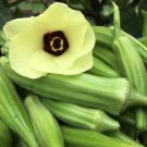 GG88 50 Clemson Spineless Okra Seeds Non Gmo Heirloom Fresh USA Warehouse
