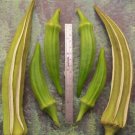 GG88 100 Louisiana Longhorn Cowhorn Okra Seeds Heirloom Non Gmo Fresh USA Warehouse