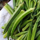 GG88 100 Perkins Long Pod Okra Seeds Heirloom Non Gmo Fresh USA Warehouse