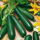 GG88 50 Black Beauty Zucchini Squash Heirloom Non Gmo Fresh Organic USA Warehouse