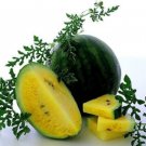 GG88 10 Golden Honey Watermelon Seeds Non Gmo Heirloom Fresh USA Warehouse
