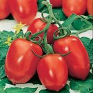 GG88 10 Roma Tomato Seeds Heirloom Organic Non Gmo Fresh USA Warehouse