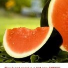 GG88 25 Sugar Baby Watermelon Seeds NonGmo Heirloom Fresh Seeds USA Warehouse