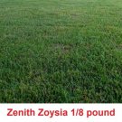 GG88 Zenith Zoysia Grass Seeds 1/8 Of A Pound (2 Ounces ) USA Warehouse