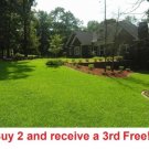 GG88 Centipede Grass Seeds Starter Pack 6000K Seeds USA Warehouse