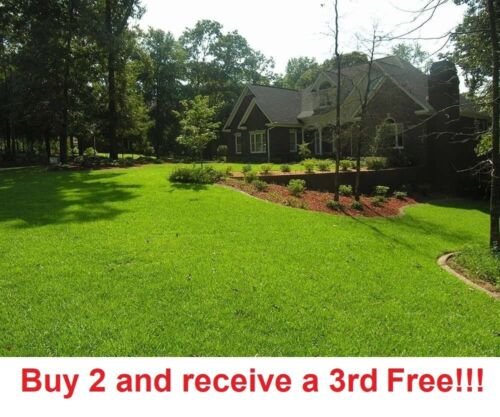 GG88 Centipede Grass Seeds Starter Pack 6000 Seeds USA Warehouse