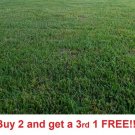 GG88 Zenith Zoysia Grass 5000 Seeds Starter Kit USA Warehouse