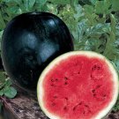 GG88 100 Sugar Baby Watermelon Citrullus Lanatus Sweet Red Fruit Melon Vine Seeds USA Warehouse