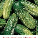 GG88 Cucumber Seeds 50 National Pickling Vegetable Garden Pickling  USA Warehouse