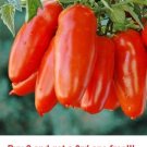 GG88 Tomato Seeds San Marzano Heirloom 100 NonGm USA Warehouse