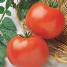GG88 Jersey Tomato Seeds Aka Rutgers Tomato Seeds USA Warehouse