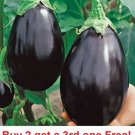 GG88 Black Beauty Eggplant Seeds 100 Vegetable Garden Culinary Cooking  USA Warehouse