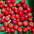 GG88 20 Mexibell Hybrid 2024 Season Non-Gmo Organic Hot Pepper Seeds  USA Warehouse