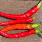 GG88 20 F1 Thai Chili X Cayenne Cross Non-Gmo Organic Hot Pepper Seeds  USA Warehouse