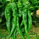 GG88 200Pcs Screw Pepper Seeds Twisted Pepper Seeds USA Warehouse