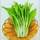 GG88 5G/1200Pcs White Chinese Kale Seeds Choy Sum HonTsai Brassica Seeds USA Warehouse