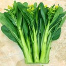 GG88 5Gram Sweet Yu Choy Sum Seeds Chinese Flowering Cabbage Seeds Choi Sum Seed USA Warehouse