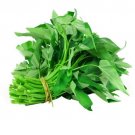 GG88 300Pcs Water Spinach Seeds Ong Choi Seeds Kangkong Seeds USA Warehouse