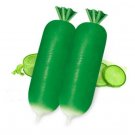 GG88 5Gram/500Pcs Green Sweet Daikon Radish Seeds Fruit Radish Seeds Korean Radish USA Warehouse