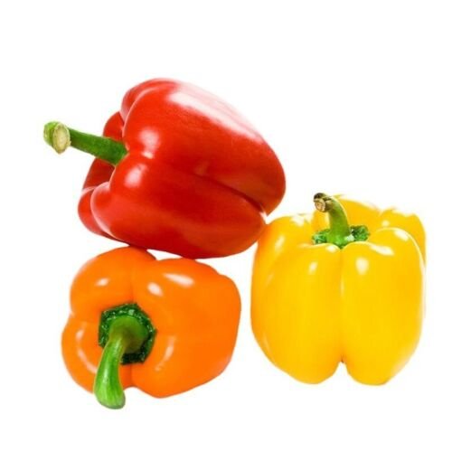 GG88 100Pcs Rainbow Bell Pepper Seeds Sweet Pepper Seeds USA Warehouse