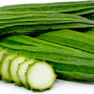 GG88 5Gram Ridged Sponge Gourd Seeds Chinese Luffa Gourd Seeds Loofah Seeds USA Warehouse