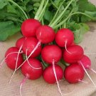 GG88 5G/500Pcs Cherry Radish Seeds USA Warehouse