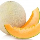 GG88 Cantaloupe 25 Seeds Fresh This Season Rare And Exotic *Delicious* USA Warehouse