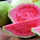 GG88 Pink Guava 200 Seeds Fresh This Season Very Rare & Exotic *Delicious* USA Warehouse