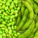 Store 10 Edamame Soy Bean Seeds For Planting ""Be Sweet"" Asian Japanese Vege Fast Ship