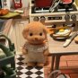 Soft Plush Simulation Dog - Poodle Stuffed Animal, Kids Gift (MIAO)