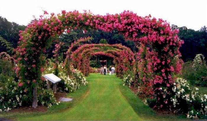 Garden & Landscape Photo Idea CD