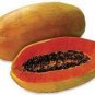 Ceylon Papaya Seeds Pawpaw seeds Organic Heirloom