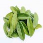 Dried Guava Leaves , Guava Leaves Sri Lanka 100% Organic