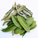 Dried Guava Leaves , Guava Leaves Sri Lanka 100% Organic