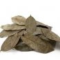 100% Organic  Natural Dried Soursop Leaves , Annona muricata