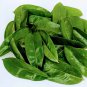100% Organic  Natural Dried Soursop Leaves , Annona muricata