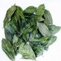 100% Organic  Natural Dried Soursop Leaves , Annona muricata