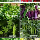 8 Variety Vegetable Seed Bundle Pack for Home Gardening & Organic Growing 8 Variety Vegetable Seed Bundle Pack for Home Gardening & Organic Growing