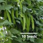 8 Variety Vegetable Seed Bundle Pack for Home Gardening & Organic Growing