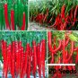 8 Variety Vegetable Seed Bundle Pack for Home Gardening & Organic Growing
