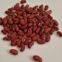 Red Yard Long Bean Seeds Heirloom Asparagus Bean Vigna Unguiculata