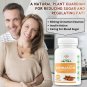 Ceylon Organic Cinnamon Capsule 500mg- 60Counts Non-GMO, Gluten Free