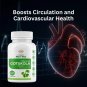 Organic Gotukola (Centella asiatica)- 500mg x 60 capsules