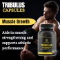 Tribulus Extract 600mg 60 Capsules Unleash Your Inner Strength Enhances Libido