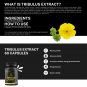 Tribulus Extract 600mg 60 Capsules Unleash Your Inner Strength Enhances Libido