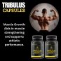 Tribulus Extract 600mg 60 Capsules Unleash Your Inner Strength Enhances Libido