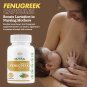 Organic Fenugreek Capsules | 500 mg | 60 Count | Non-GMO, Gluten Free |