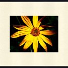 Framed 11x14 Art Photo Print Wall Decor Abstract new